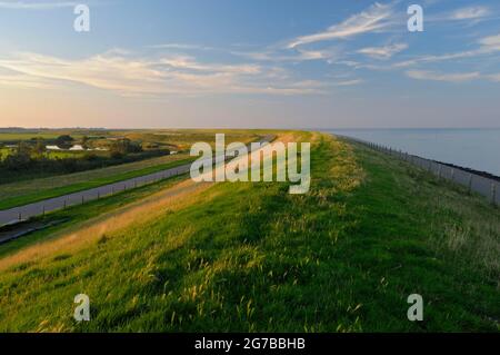 Dike, south of Oost, island of Texel, North Holland, Netherlands Stock Photo