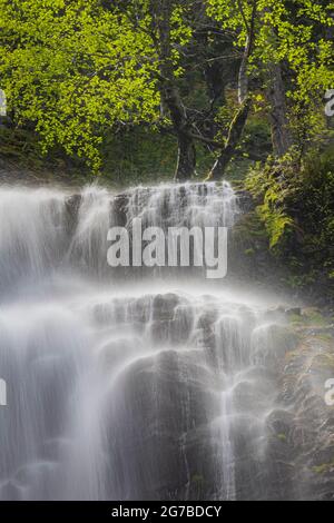 Skookum Falls, beautiful in spring runoff, along Skookum Flats Trail, Mount Baker-Snoqualmie National Forest, Washington State, USA Stock Photo