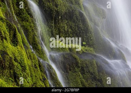 Skookum Falls, beautiful in spring runoff, along Skookum Flats Trail, Mount Baker-Snoqualmie National Forest, Washington State, USA Stock Photo