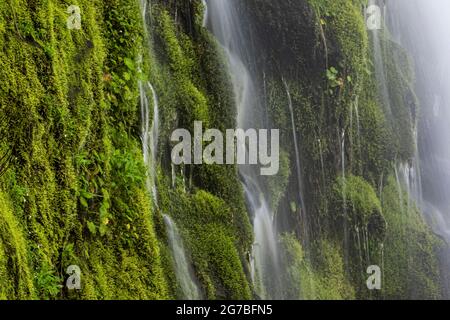 Skookum Falls, beautiful in spring runoff, along Skookum Flats Trail, Mount Baker-Snoqualmie National Forest, Washington State, USA Stock Photo