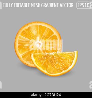 Orange fruit slices on a gray background. Stock Vector