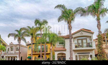 Charming town in Long Beach California with houses on palm tree lined  street Stock Photo - Alamy