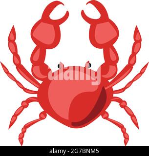 Realistic fresh crab on white background - Vector illustration Stock Vector
