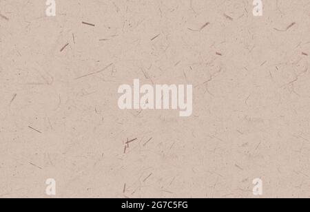 Texture background, natural pattern texture for background Stock Photo