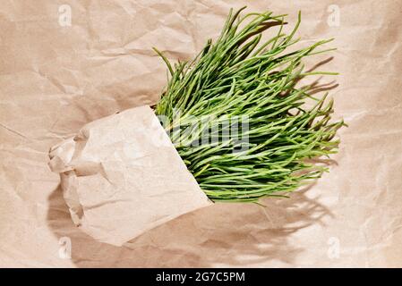 Bunch og agretti -salsola soda or opposite -leaved saltwort -in bag  ,fresh uncooked green leaves Stock Photo