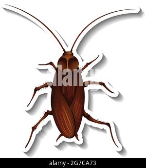 A sticker template with top view of a cockroach isolated illustration Stock Vector