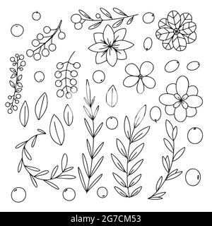 Different branches, leaves and flowers on a white background. Doodle, sketch of herbs. Stock Vector