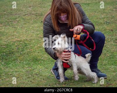 Crouching woman holding her dog in the park. Adult woman with her white dog on grass. Stock Photo