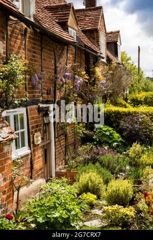 UK, England, Buckinghamshire, Hambleden Valley, Turville, Holloway Lane, Wisteria Cottage, small front garden Stock Photo