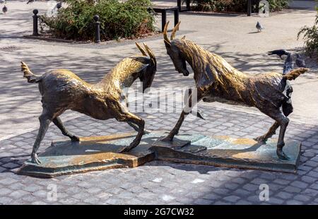 Poland, Poznan - April 25, 2021: Sculptures of two bronze goats, city symbol, tourist attraction. Stock Photo