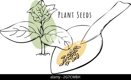 Planting seeds, planting cucumber seeds in the ground, handmade linear drawing doodling. Vector illustration Stock Vector