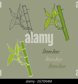 vector drawing bamboo stick leaf design set Stock Vector Image & Art - Alamy