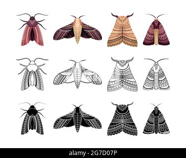 Boho set of moths with geometrical patterns. Outline, flat and simple style. Stock Vector