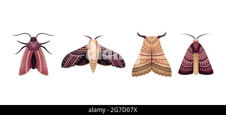 Vector set of flat moths in boho style. Flat illustration. Stock Vector