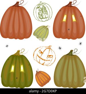 Set of multi-colored pumpkins, hand-drawing. Vector collection of cute hand drawn pumpkins on white background. Elements for autumn decorative design, Halloween invitation, harvest. Stock Vector