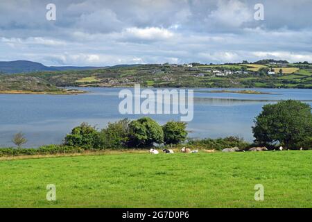 A view across Roaring Water Bay near Ballydehob, West Cork in Ireland. Stock Photo