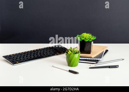 Computer notepads and succulent flowers. Keyboard stationery at home office workplace for remote work. White home office table with copy space on Stock Photo