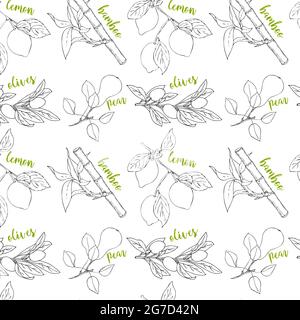 Pattern contour black lemon olives pear bamboo with green inscription, hand-drawing. Vector illustration Stock Vector