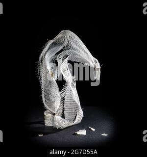 Plastic net as disposable packaging for garlic shown like a sculpture against a black background, waste of the abundance and throwaway society that co Stock Photo