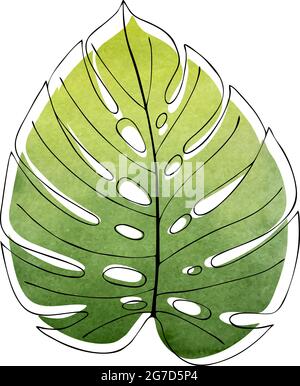 Monstera leaf contour, on a green watercolor background, leaf-shaped watercolor background. Vector illustration Stock Vector