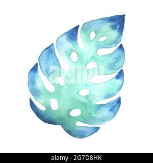 Monstera leaf watercolor green aquamarine blue. Isolated, white background. For design, decor. Vector illustration Stock Vector
