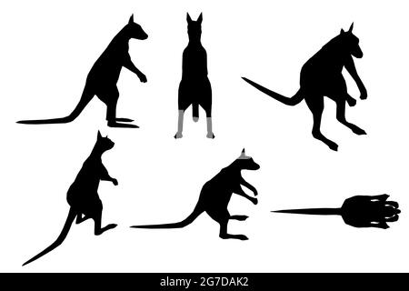 Set with silhouettes of kangaroos in different positions isolated on a white background. Vector illustration. Stock Vector