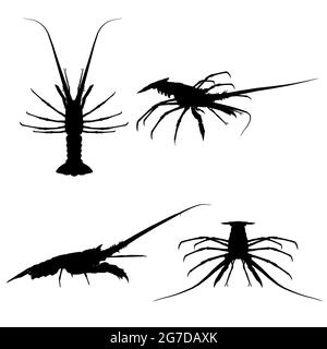 Set with silhouettes of lobster in different positions isolated on white background. Vector illustration. Stock Vector