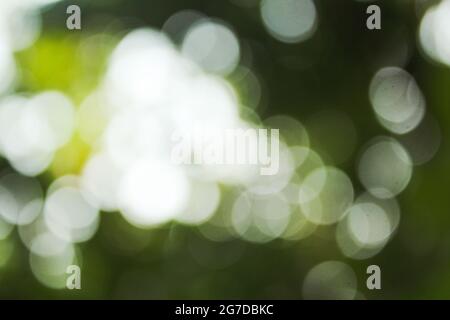 Blur background image Stock Photo - Alamy