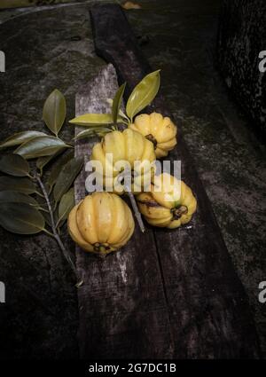 Garcinia gummi-gutta is a tropical species of Garcinia native to Indonesia. Common names include Garcinia cambogia (a former scientific name), as well Stock Photo