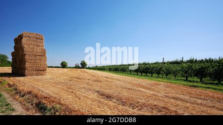 Crevalcore (Bo), Italy, a landscape of the countryside Stock Photo