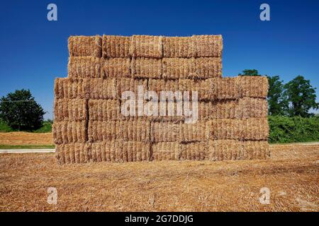 Crevalcore (Bo), Italy, some straw bales Stock Photo