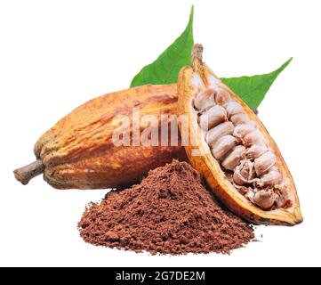 Cocoa or Cacao fruits isolatedon white background Stock Photo