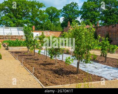 The Edible Garden demonstrates the cultivation of many types of fruit and vegetables at the Walled Rose Gardan Wynyard Hall Tees Valley England UK Stock Photo