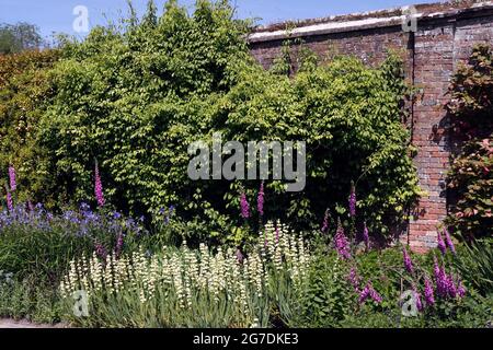 WILD FLOWER BORDER IN A WALLED GARDEN Stock Photo