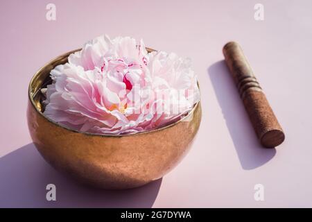 Tibetan singing bowl with floating in water pink peony inside and special stick on the pink background. Meditation and Relax. Exotic massage Stock Photo