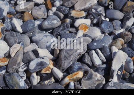 Close up, macro images of the beach at the Birling Gap near Brighton where chalky white cliffs tower over the rocks, pebbles, seaweed and shoreline Stock Photo