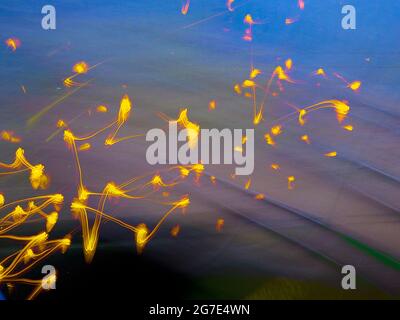 Abstract pattern of golden firework light streaks against a blue purple background Stock Photo