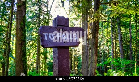 Sign pointing To Falls on a hiking trail in the rain forest. Stock Photo