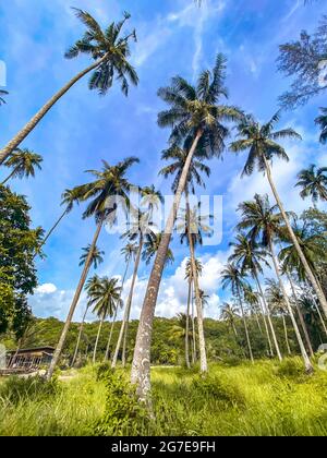 Abandoned Boat Chalet, Ghost Ship in Grand Lagoona, Koh Chang, Trat, Thailand Stock Photo