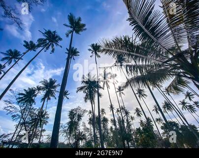 Abandoned Boat Chalet, Ghost Ship in Grand Lagoona, Koh Chang, Trat, Thailand Stock Photo