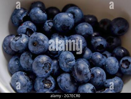 Blueberries in a white bowl Stock Photo