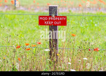 MoD property, keep out, warning sign at Merville Barracks, Colchester, Essex, UK, at fence with poppies in long grass around the perimeter. Poppy