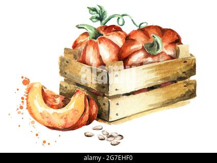 Wooden box with pumpkins. Watercolor hand-drawn illustration Stock Photo