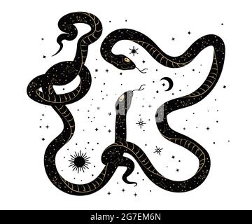 Snakes and flowers. Tattoo art, coloring. Hand drawn vintage vector illustration isolated on white background. Stock Vector