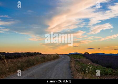 Warm colors in the sunset in a scenery of the lavender fields under the cloudy blue sky Stock Photo