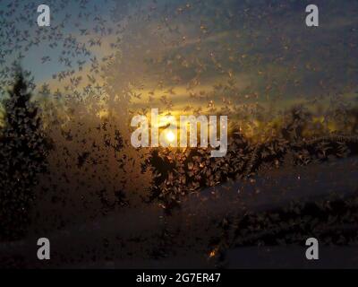 Ice patterns on a winter window on a sunset background. Bizarre forms of hoarfrost on a frozen winter window. Stock Photo