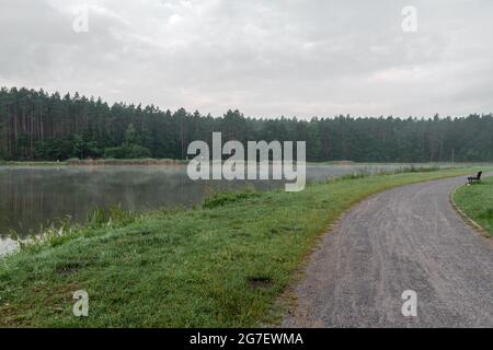 Path leading along the lake shore on foggy morning. Forest in the background. Krasnobród, Roztoce, Poland. Stock Photo
