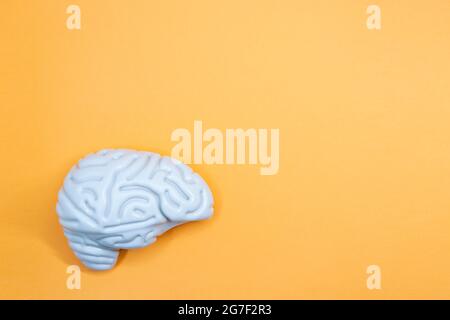 Plastic brain with space for text. Orange background. World Brain Day July 22. Horizontal photography. Stock Photo