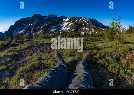 Backpacker resting in a subalpine meadow near Marmot Pass in the Buckhorn Wilderness, Olympic National Forest, Olympic Mountains, Washington State, US Stock Photo