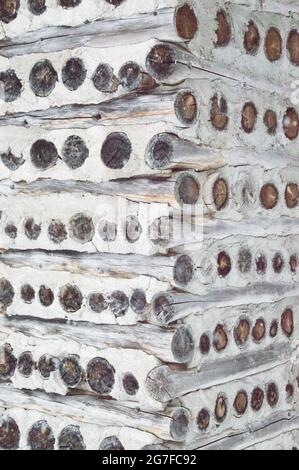 This old log cabin gingerbread house in the woods is intricate and simple. The weathered cord wood walls are shown. Stock Photo